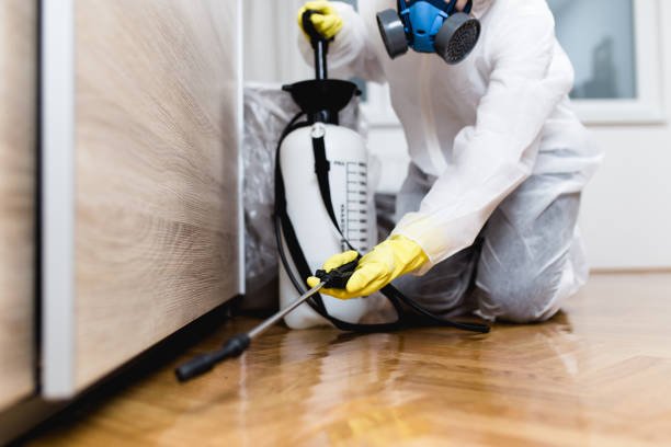 Best Cockroach Control Services  in Bridgeport, CT
