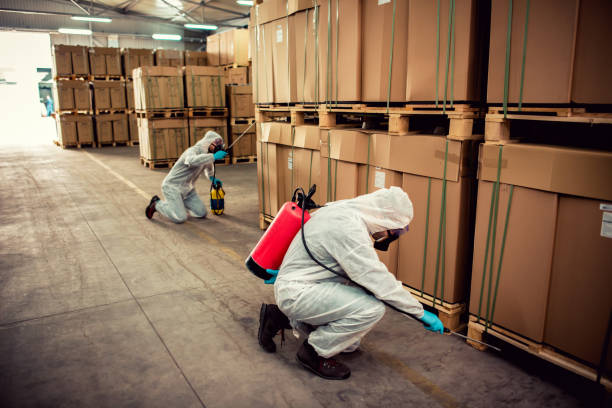 Best Pest Control Near Me in Bridgeport, CT