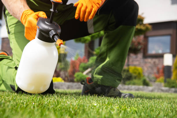 Best Commercial Pest Control Services  in Bridgeport, CT