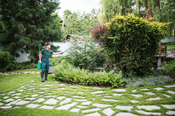 Best Affordable Pest Control Services  in Bridgeport, CT