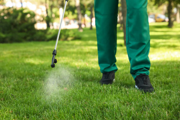 Best Pest Removal Services  in Bridgeport, CT