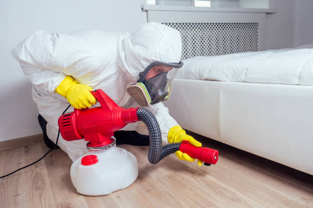 Best Insect Control  in Bridgeport, CT