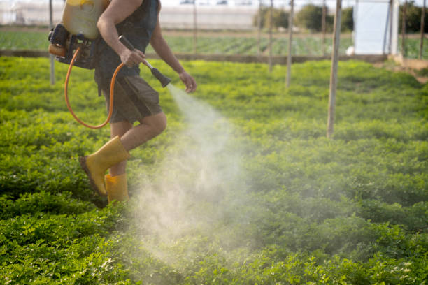 Best Best Pest Control Companies  in Bridgeport, CT