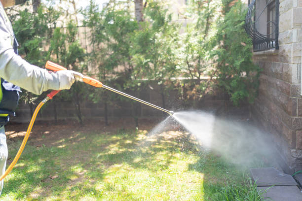 Best Pest Removal Services  in Bridgeport, CT